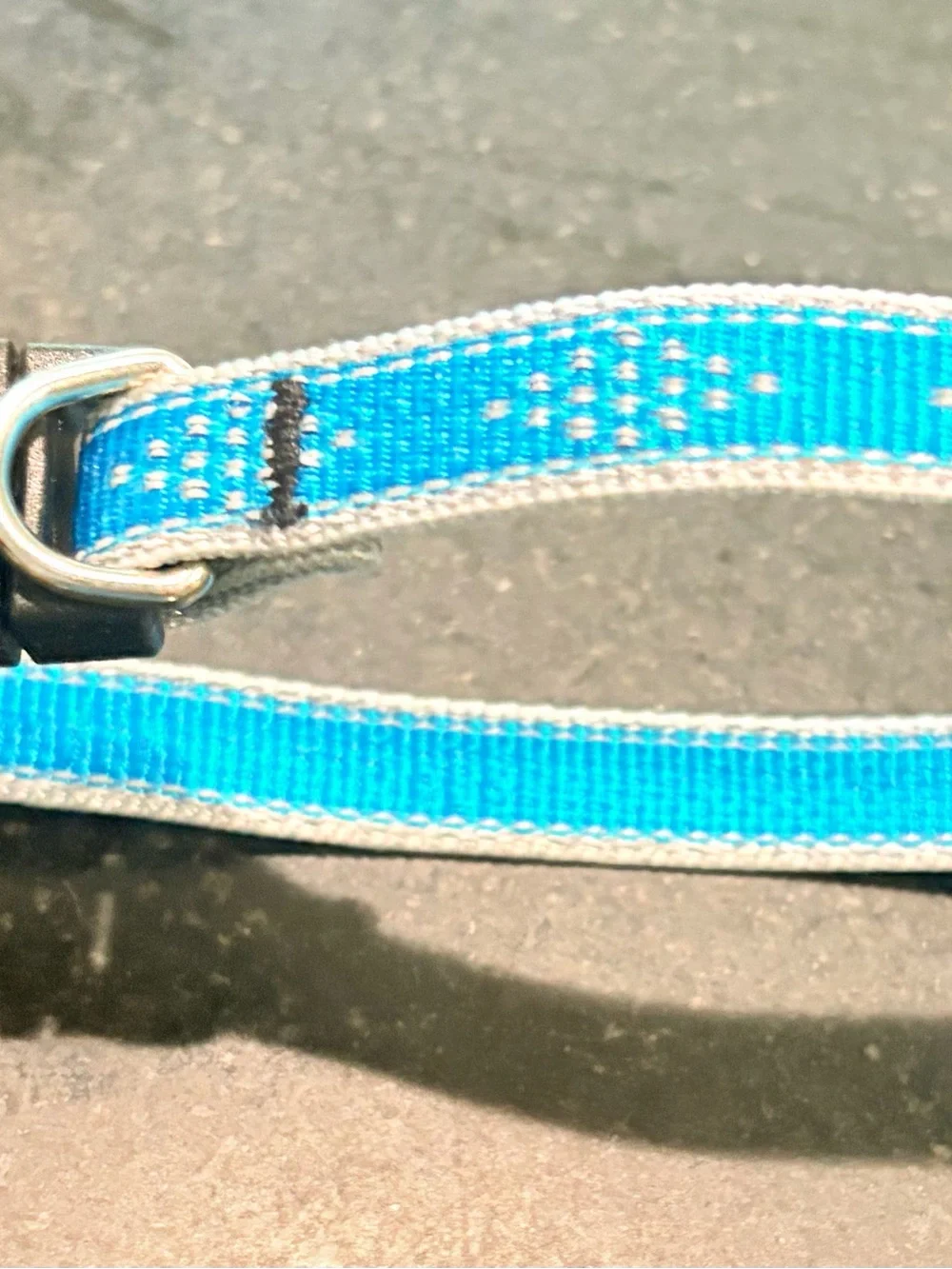 NWT Reflective High Lights 1/2” collar by Lupine® in Blue Diamond/Silver